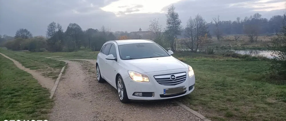 pułtusk Opel Insignia cena 18900 przebieg: 265500, rok produkcji 2010 z Pułtusk